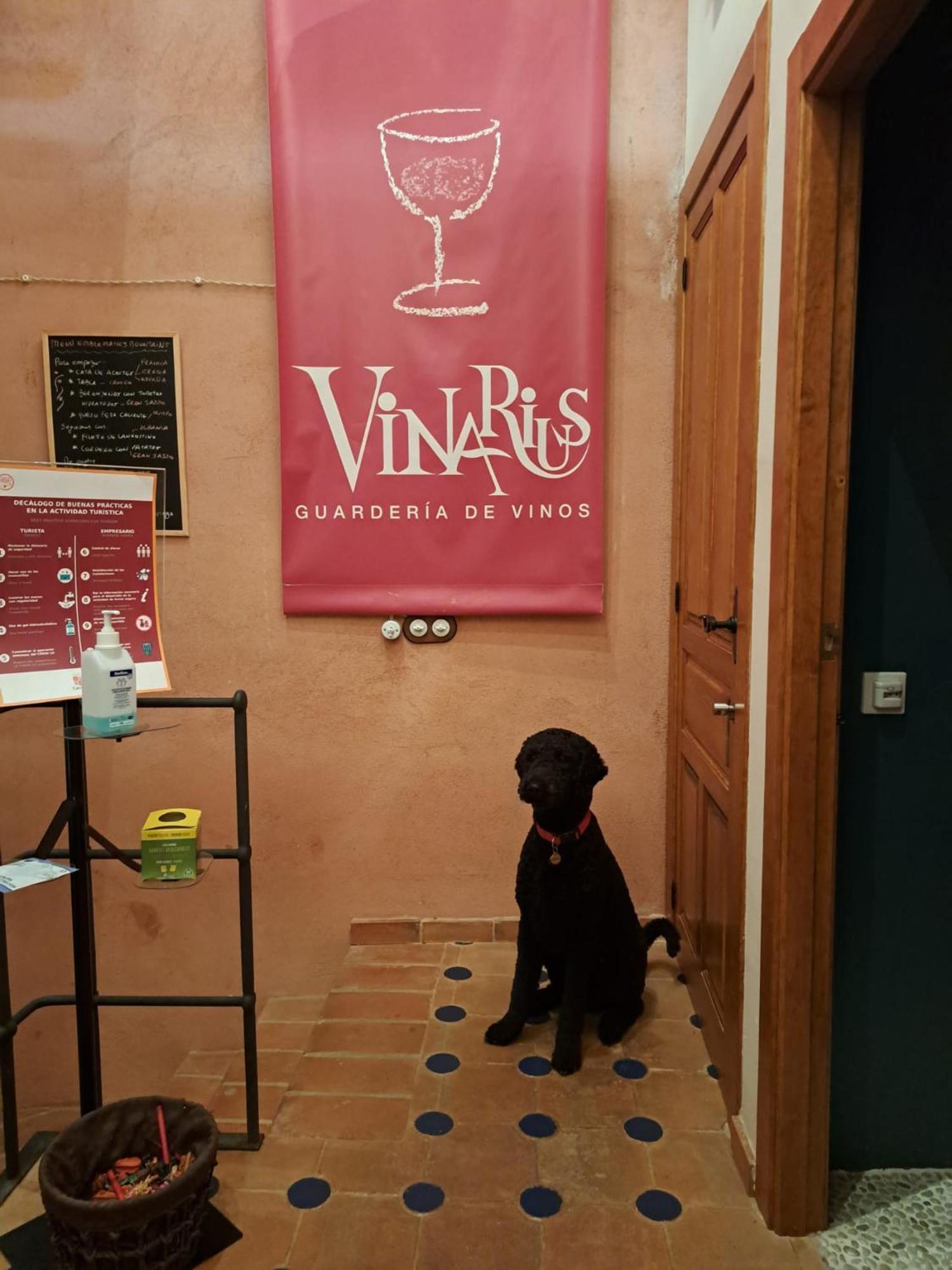Vinarius, Posada Rural Castellanos de Villiquera Экстерьер фото